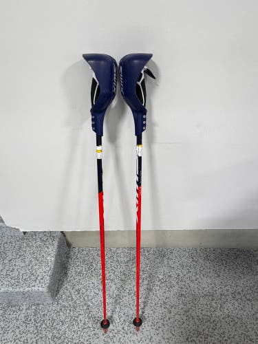 Swix Carbon SL Poles With Guards 110 cm