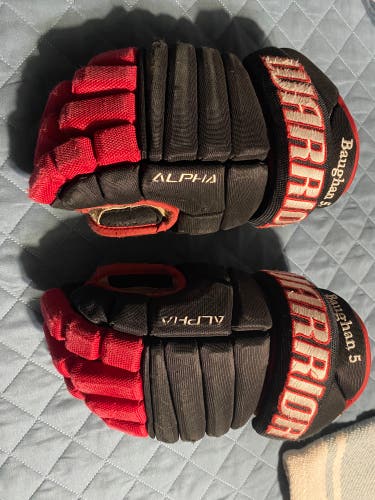 Used Junior Warrior Alpha Gloves 12"