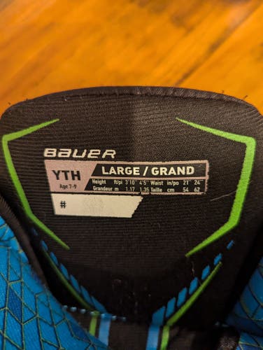 Used Youth Large Hockey Pants