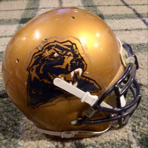 University of Pittsburgh Pitt Panthers Schutt mini college football helmet