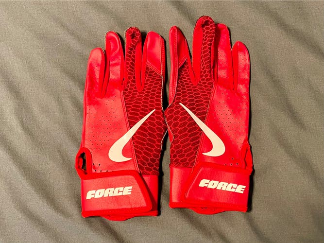 Youth Nike Force Batting Gloves