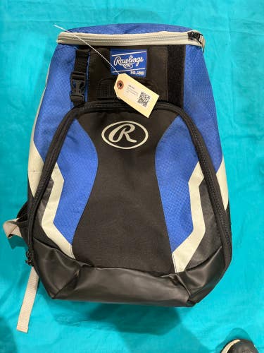 Blue Used Rawlings Bags & Batpacks Player