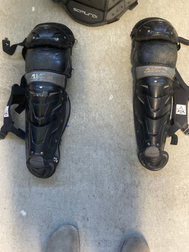 Used  All Star Catcher's knees