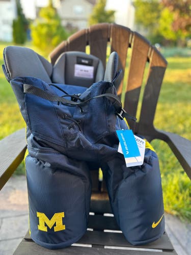 University of Michigan team pants