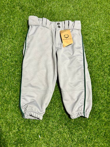 Grey Evo Shield baseball pants