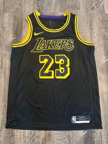 Lebron James Los Angeles Lakers "Black Mamba" Jersey Men's L 48 DJ1433-011