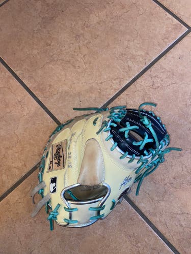 Custom Rawlings Catcher Mitt