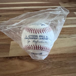 Official Minor League Baseball California league