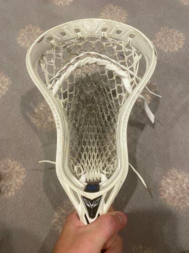 Warrior Evo 5 head