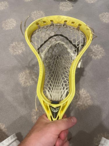 Warrior Evo 5 head