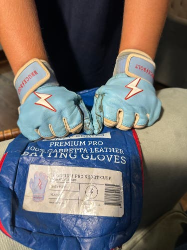 Bruce bolt batting gloves youth large