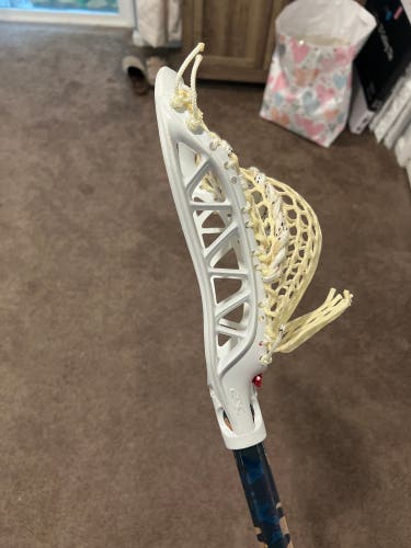 BUNDLE STX Torque STX x2 STX Profile Brine Ignite Supra