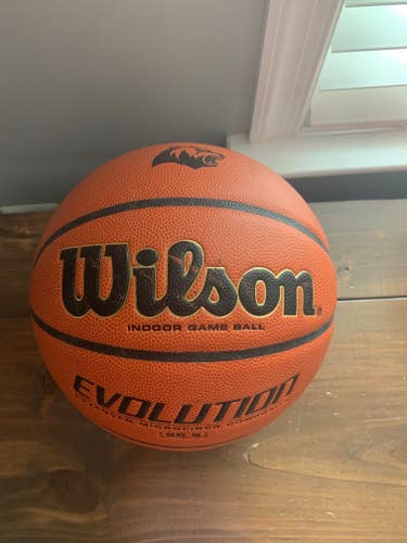 Used Wilson Basketball