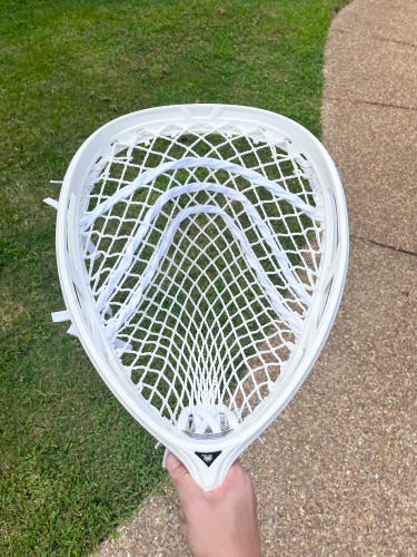 New Strung ECD Impact