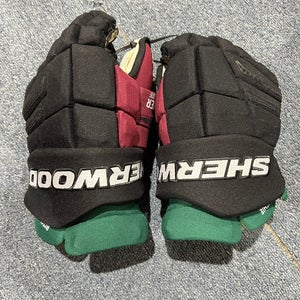 Lightly Used Arizona Coyotes Ritchie Sher-Wood 15" Pro Stock Element one Gloves