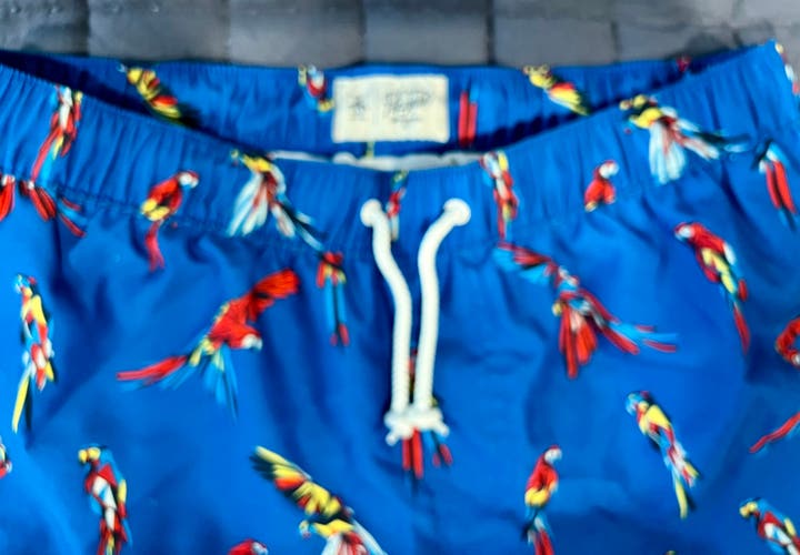 Bundled Lot — 2 Men’s NWOT Large Designer Board Shorts (Penguin, Joseph Abboud)