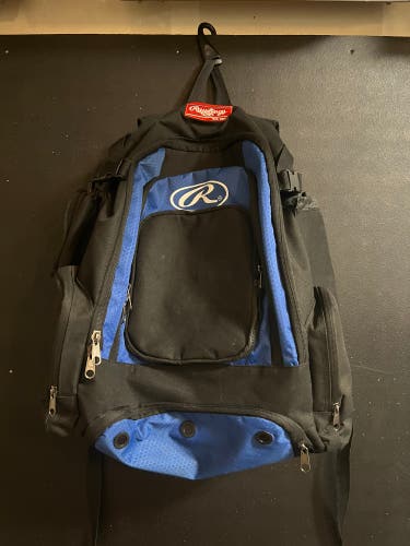 Rawlings Bat Pack