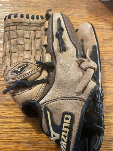 Mizuno Ballpark Pro Glove
