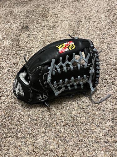 Used Outfield 12.5" Signature Series Baseball Glove