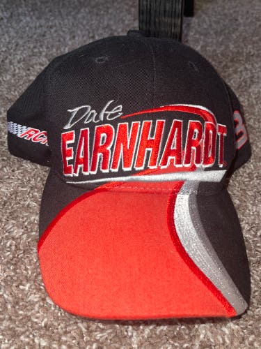 NASCAR 2000 Competitors View RCR Racing Dale Earhardt Hat Vintage Classic Used