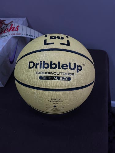 DribbleUP Basketball Official Size