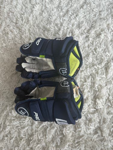 Used  Warrior 10" AX1 Pro Gloves