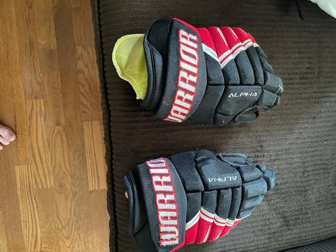 New Warrior Alpha DX3 Gloves 12"