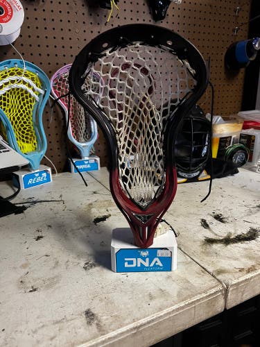 Warrior Rabil 2 Head