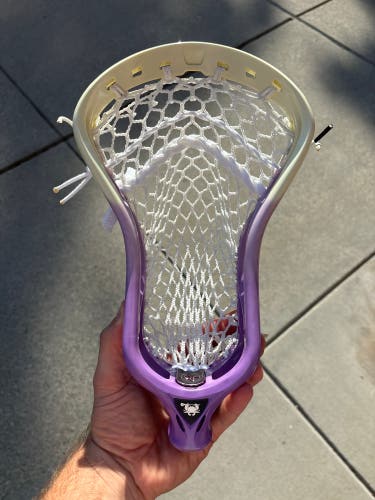 Ecd Ion Brand New Purple To Sand Fade Free Shipping