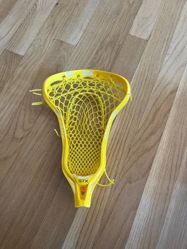 New Crux 600 LE yellow
