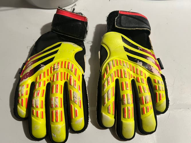 Adidas Predator Goalkeeper Gloves