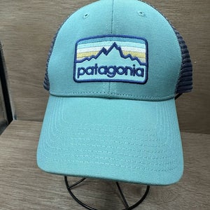 Patagonia Line Logo Badge LoPro Trucker Hat Cap Beryl Green Rare Color Snapback