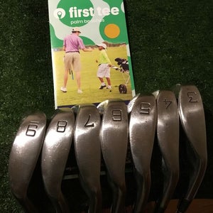 Pinseeker Ladies 350 RS Radial Sole 3-9 Irons Set Steel Shafts