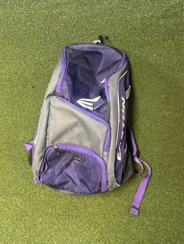 Easton Purple Bat Pack (4848)