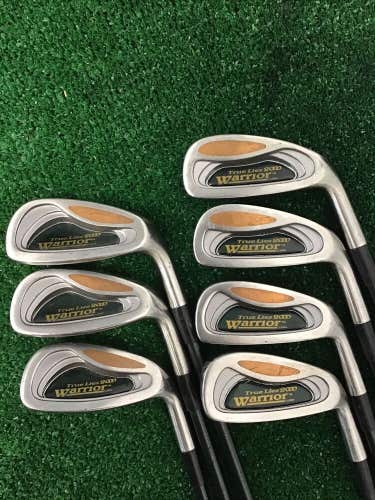 Warrior True Lies 2000 Iron Set 3-PW Regular Graphite Shafts (no 7)