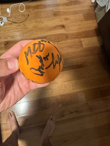 2 Long Island Lizards Signed Balls