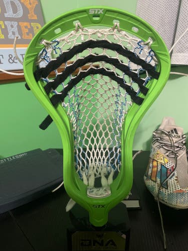 Like New STX Stallion 1K Head