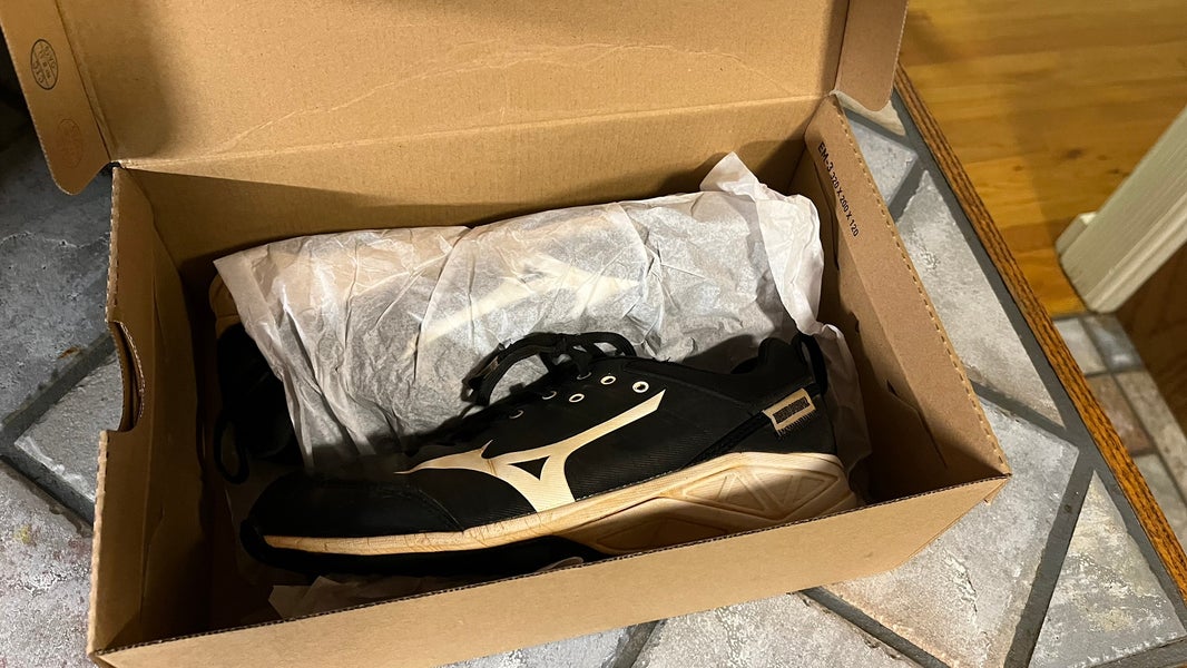 Mizuno Turf Baseball Cleats