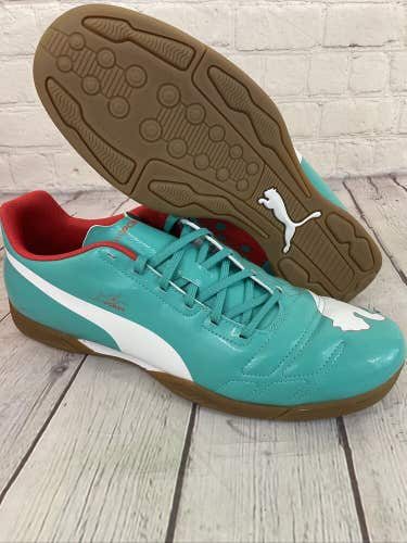 Puma evoPOWER 4 IT Men's Indoor Soccer Shoes Green White Grenadine Turb US 11