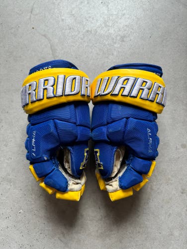 NCAA Alaska Fairbanks Pro Stock Game Used Warrior 14" Alpha Pro Gloves