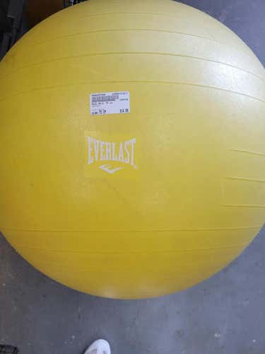 Used Everlast 75 Cm Core Training