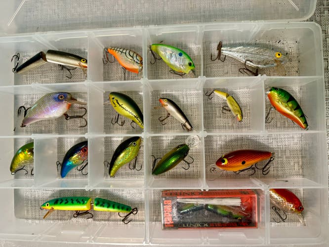 Crankbait Fishing lures - 17 with case