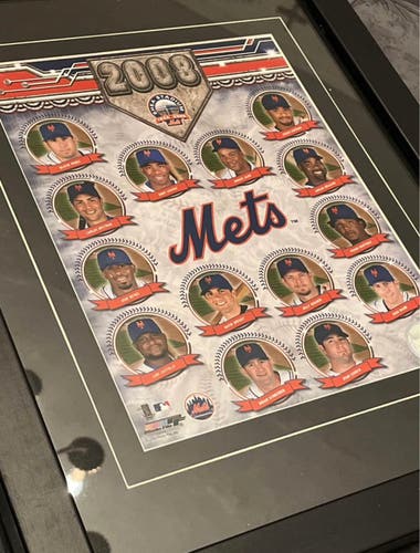 NY Mets Team Picture