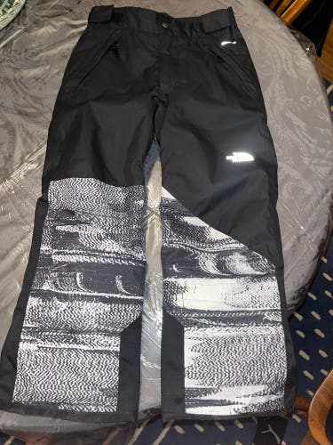 North Face Ski pants