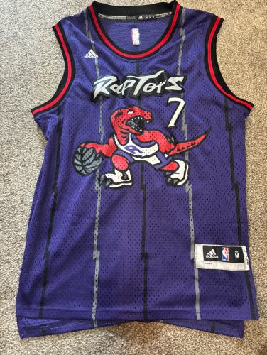 Kyle Lowry Raptors Jersey