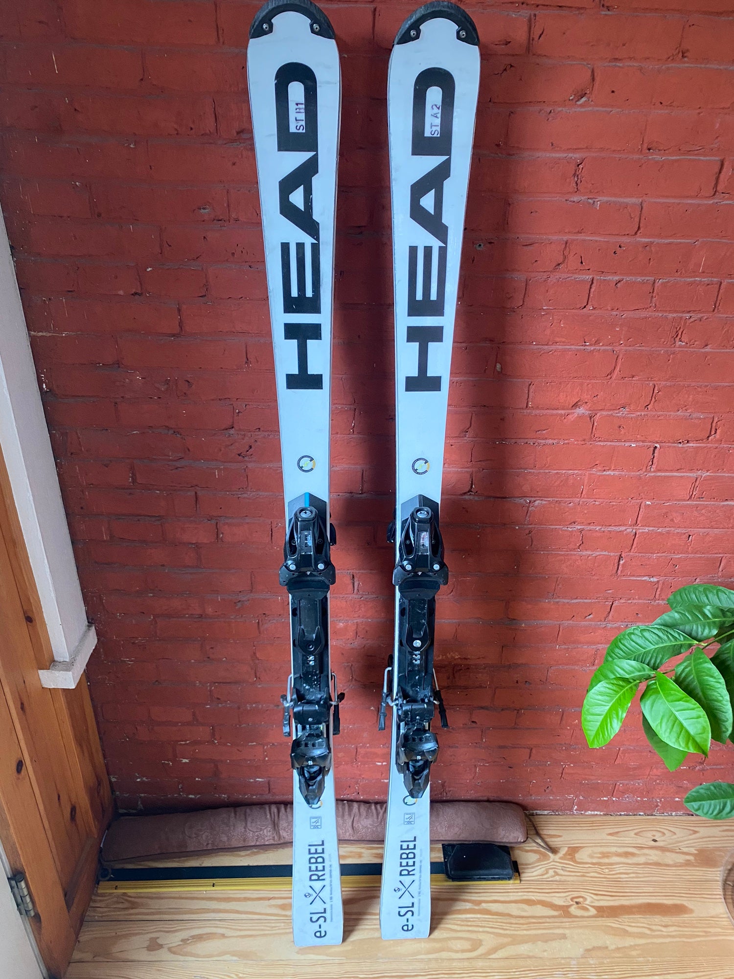NORDICA スキー板 176cm　GS　PRO 2024-25モデル NORDICA ノルディカ スキー板 DOBERMANN SLR
