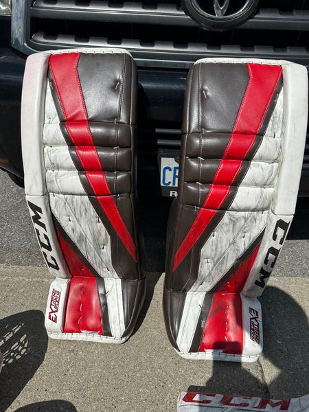 Hockey goalie pads And blocked/glove