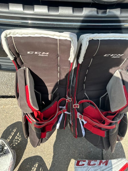 Hockey goalie pads And blocked/glove