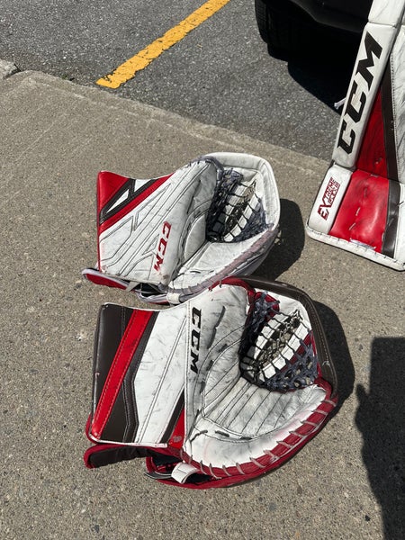 Hockey goalie pads And blocked/glove