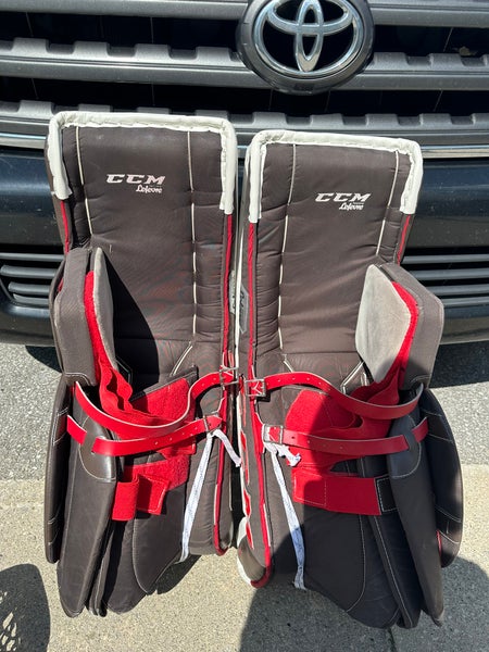 Hockey goalie pads And blocked/glove